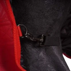 Imperial Riding Outdoor Rug Super-dry 200g Red -Equestrian sports agradi 44361856 6.fd3774