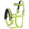 Cavesson Imperial Riding Green -Equestrian sports cavesson imperial riding green 1500x1500 83653