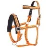 Cavesson Imperial Riding Orange -Equestrian sports cavesson imperial riding orange 1500x1500 83652