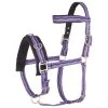Cavesson Imperial Riding Purple -Equestrian sports cavesson imperial riding purple 1500x1500 83648