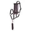 Halter Imperial Riding With Fly Fringe Red-Mixed 2 Halter Imperial Riding With Fly Fringe Red-Mixed -Equestrian sports halter imperial riding with fly fringe red mixed 1500x1500 85341