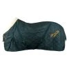 Stable Rug IRHSuper-dry 250 G FW23 -Equestrian sports imperial riding stalldecke irhsuperdry forest green 1 1280x1280