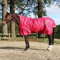Imperial Riding Outdoor Rug Super-dry 200g Red -Equestrian sports web 44361855.c7c8b6