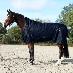 Imperial Riding Outdoor Rug Super-dry 200g Black 65/115 -Equestrian sports web 44445787.d40a57 3