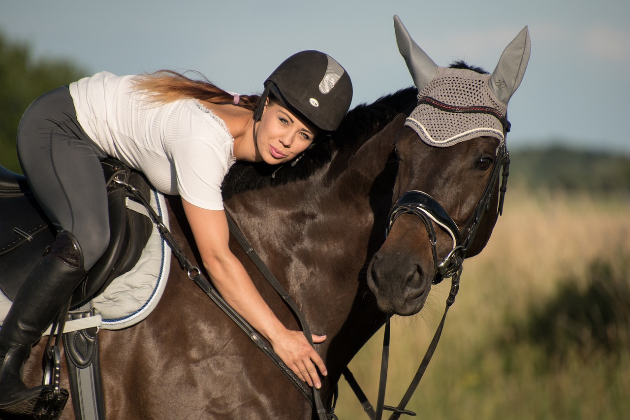 Equestrian sports -Equestrian sports horse 5462797 1280