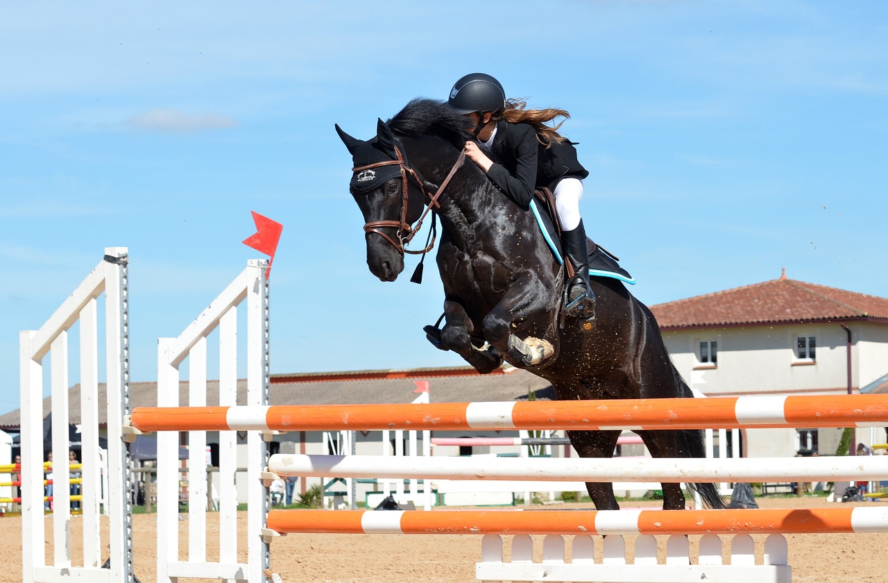 Equestrian sports -Equestrian sports horse 721136 1280